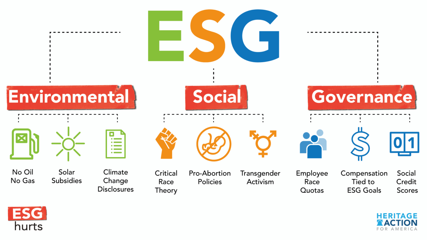 What Does Esg Mean For A Business Please Elaborate